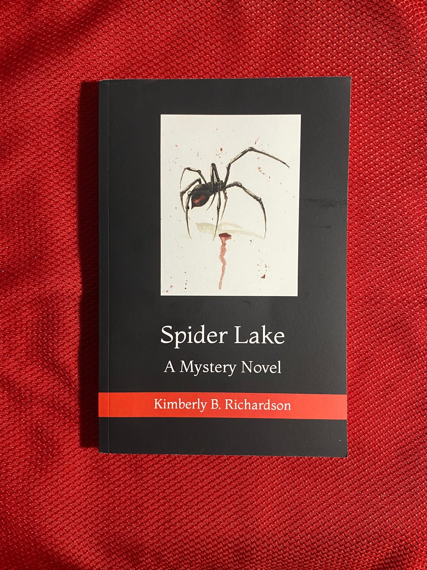 Spider Lake: A Mystery Novel by Kimberly B. Richardson