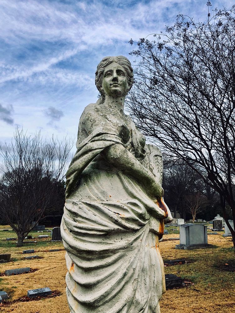 Elmwood Statue - matte photo print