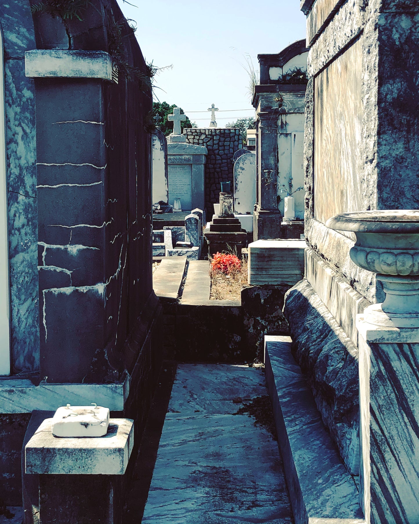 New Orleans Necropolis - matte photo print