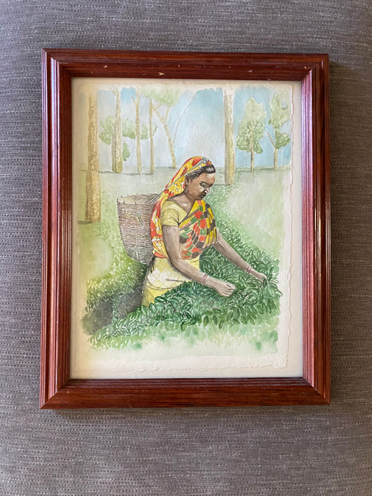 Tea Picker - Watercolour by J.W. Bullard