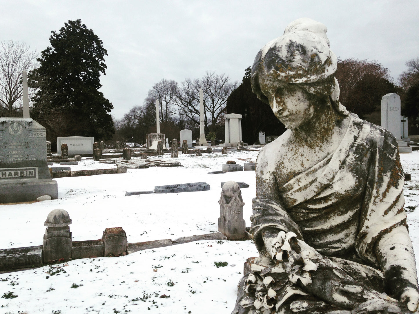My Favourite Statue - matte photo print