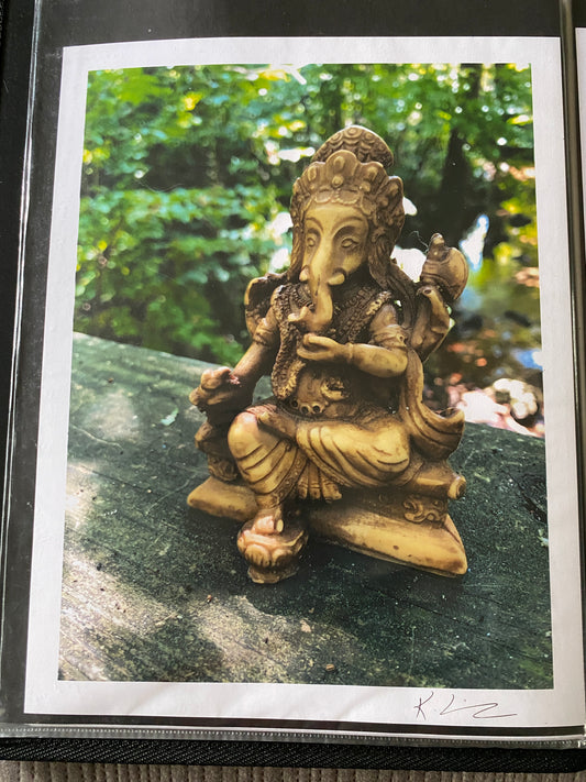 Garden Ganesha - matte photo print