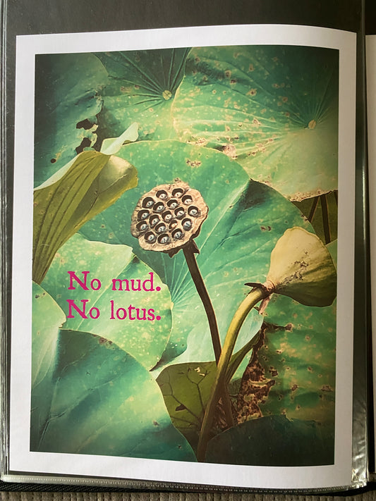 No Mud. No Lotus. - matte photo print